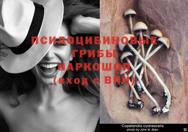 ALPHA PVP Навашино