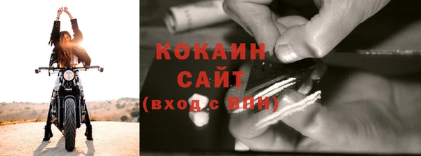 индика Соликамск
