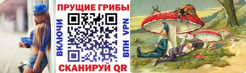 Псилоцибиновые грибы Cubensis Юрьев-Польский